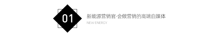 两轮自平衡智能车_两轮平衡智能车怎么用_两轮平衡智能车图片