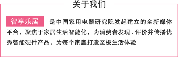 平衡小车控制算法_原理平衡智能车有哪些_智能平衡车 原理