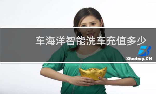 车海洋智能洗车充值多少