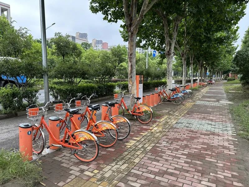 在南京，公共自行车曾一度陷入困境。姜易杉 摄