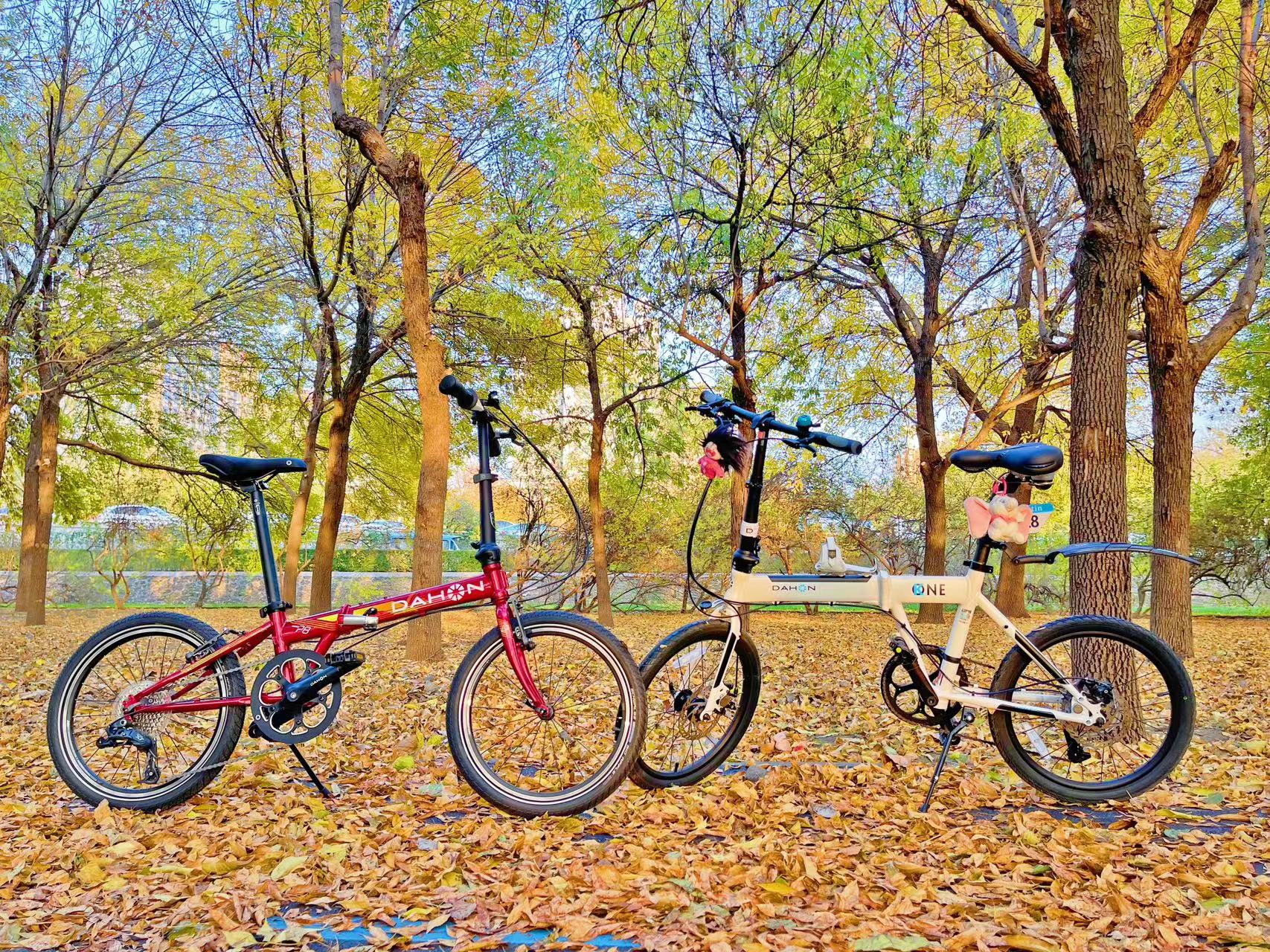 大行折叠车 K-one P8 40th纪念版_大行sp18改装