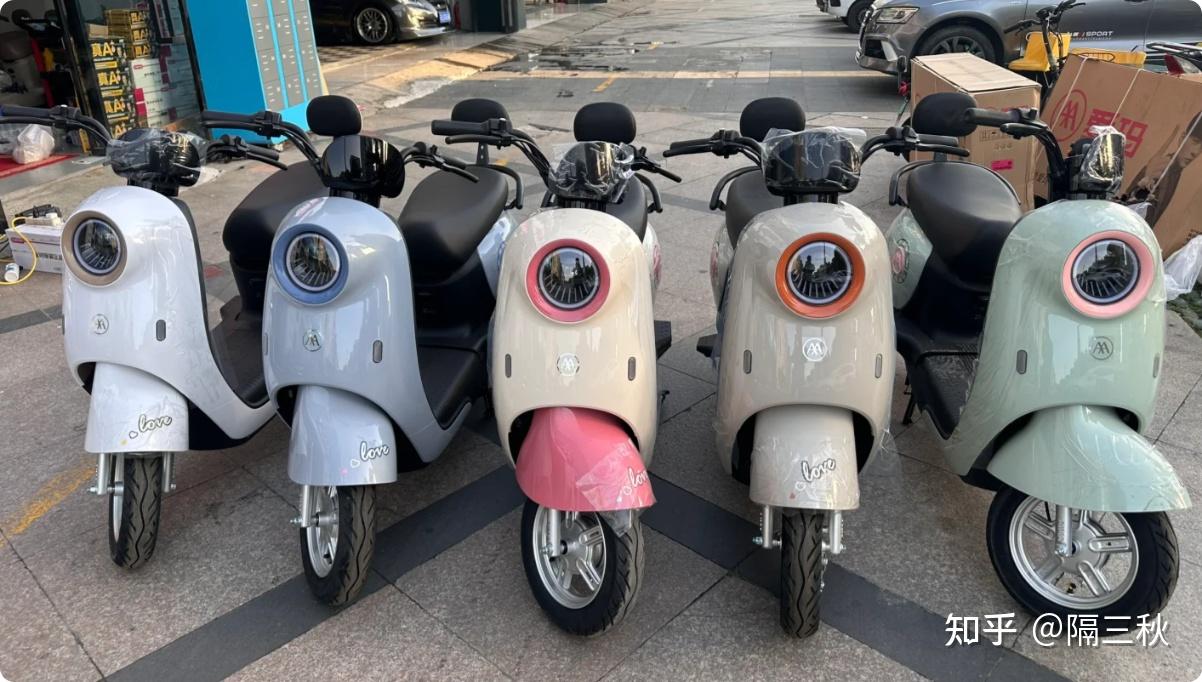 电动车选购指南_新国标电动车参数解析_电动车换个前叉多少钱