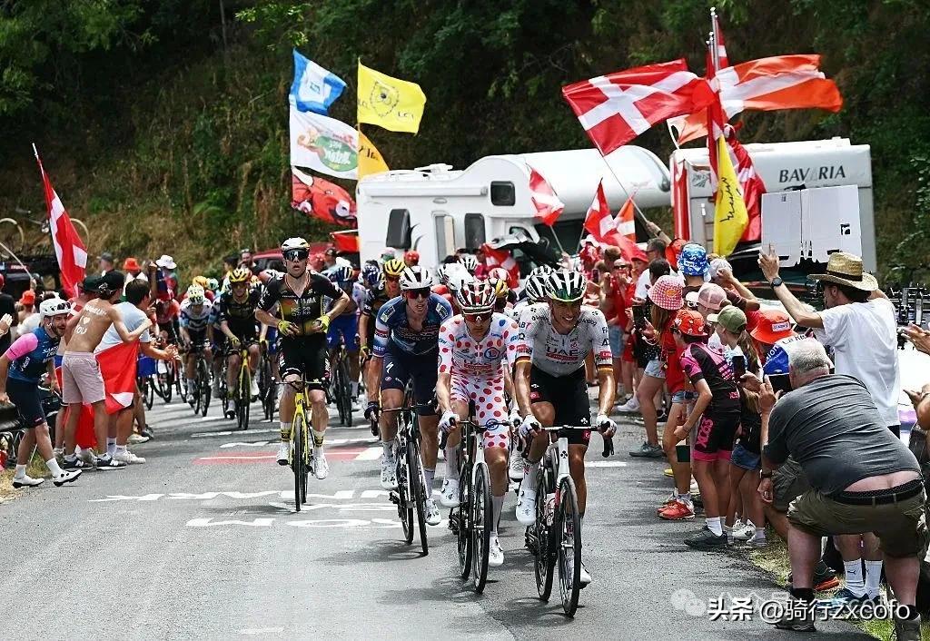 环法自行车赛精英运动员生理特征_自行车运动员腿_职业自行车手体型分析