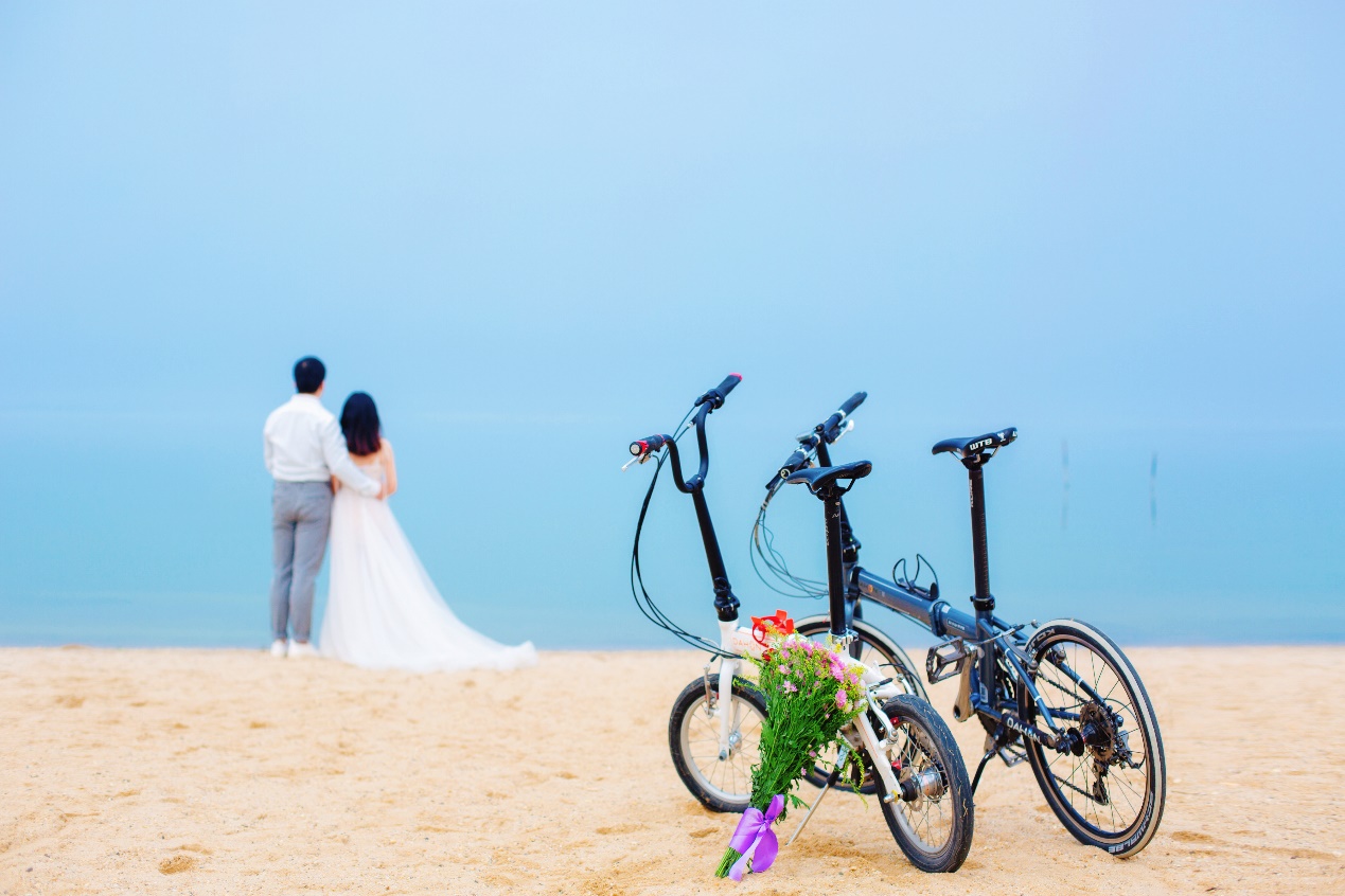 大行折叠车KAA061_大行折叠车SP18/KAC083_大行kac061多少钱