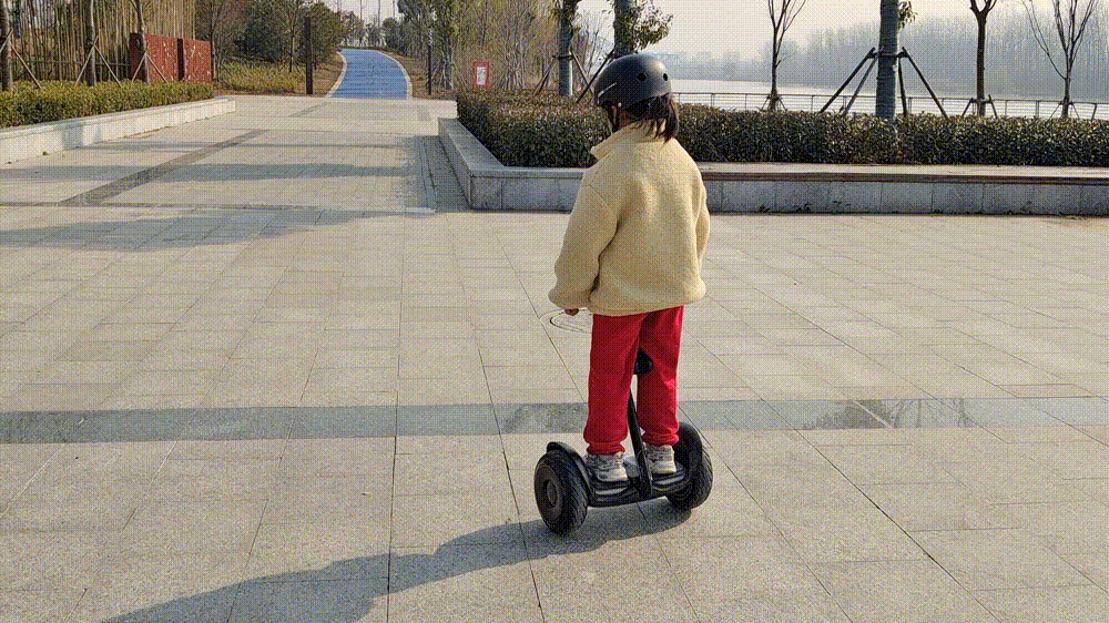 智能平衡车品牌_九号平衡车L6_儿童平衡车推荐