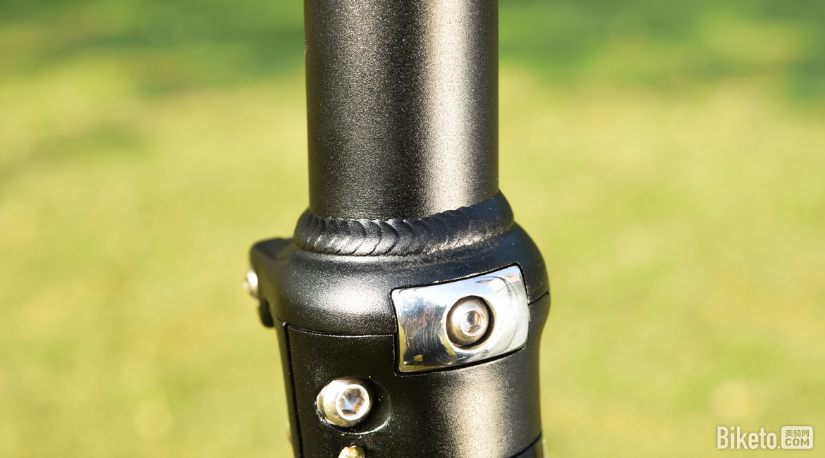 DSC_7785.jpg