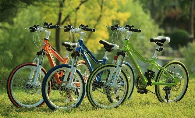 电动车捷安特价格_捷安特美利达自行车性能对比分析_捷安特美利达电助力自行车选购指南