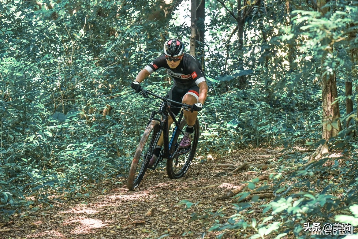 捷安特XTC系列硬尾山地车性能分析_捷安特XTC Advanced SL 29 1评测_2025款捷安特750 白色