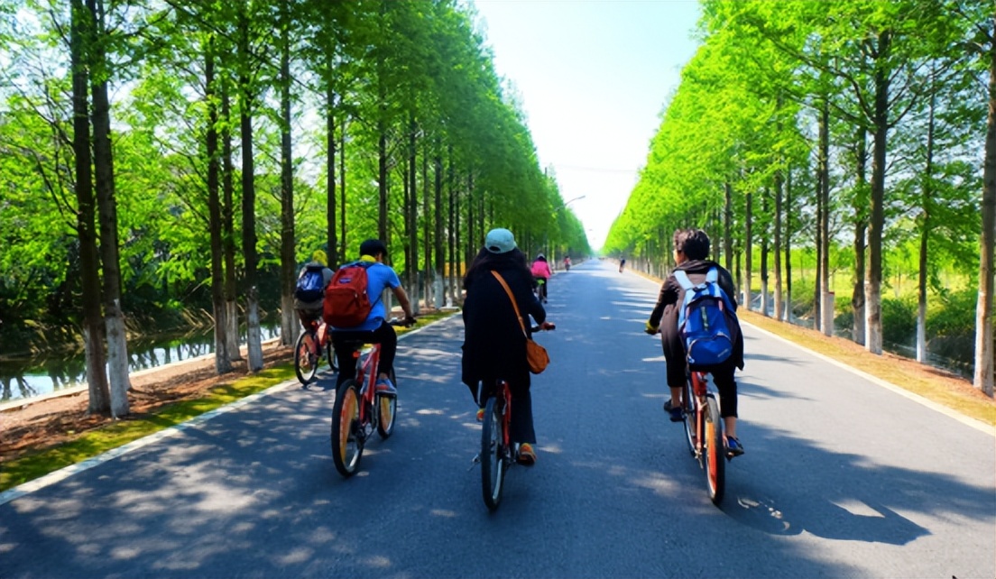 上海公路自行车店_上海松江欢乐骑行线_上海浦东滨江骑行路线