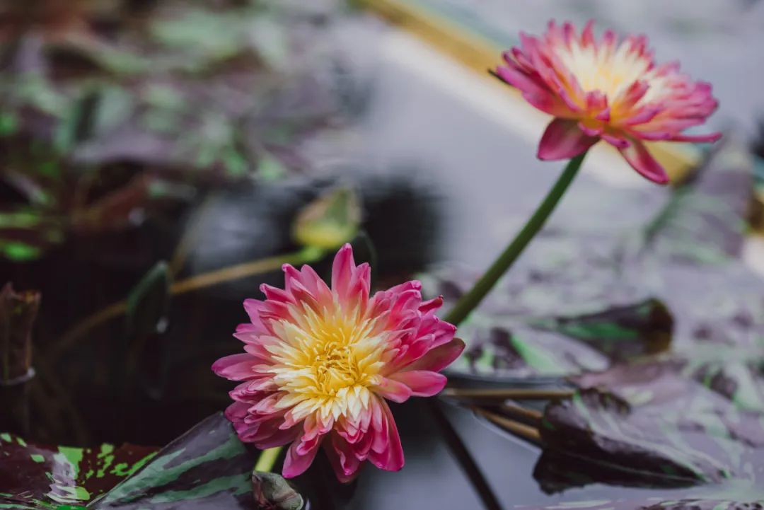 上海浦东滨江骑行路线_上海公路自行车店_上海松江欢乐骑行线