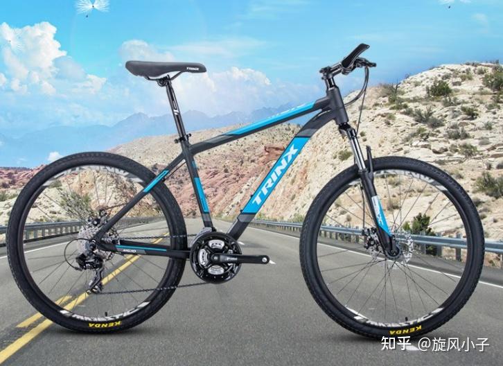 自行车哪个牌子耐用质量好_自行车品牌排行榜前十名_自行车前叉锁死