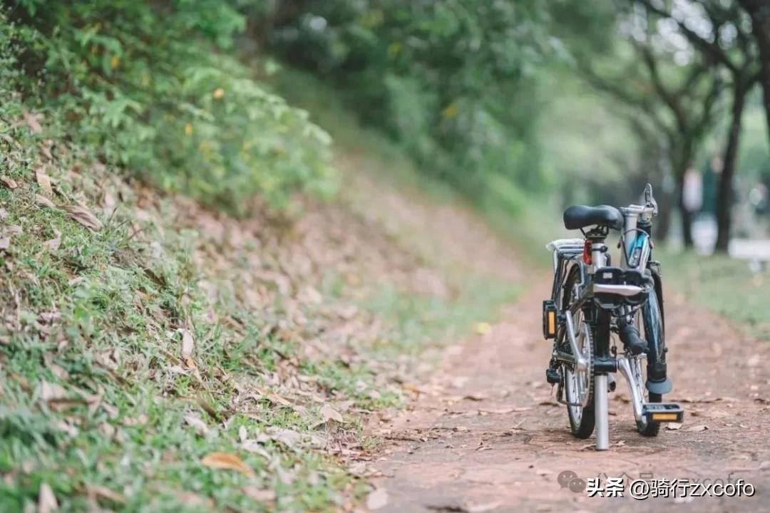 星空体育平台官网入口 折叠自行车旅行的优缺点？